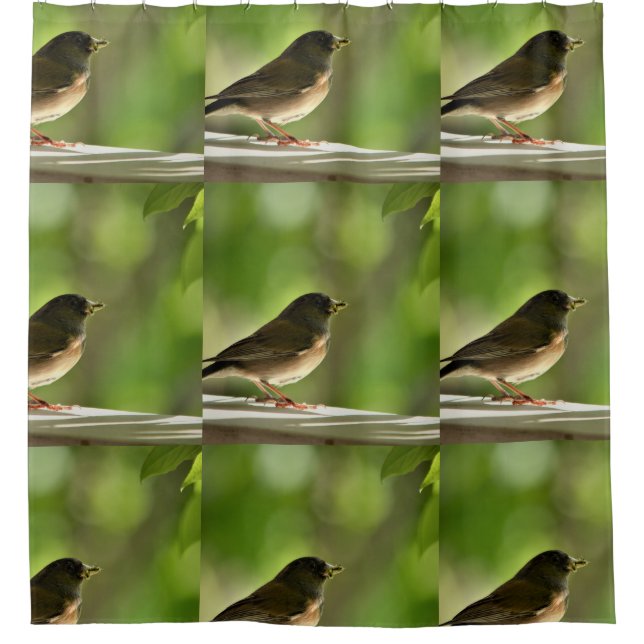 Cute birds Shower Curtain (Front)