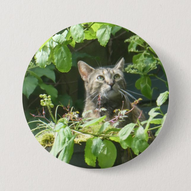 Cute Birdwatching Cat Button (Front)