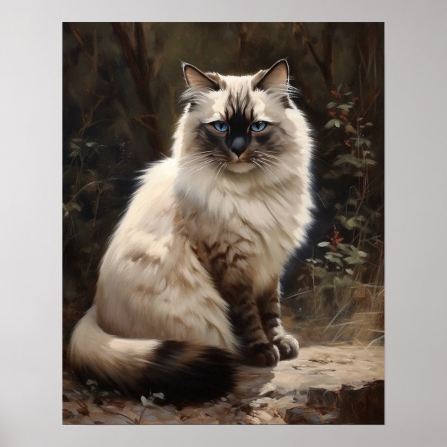 Cute Birman Cat Art Print Poster (Front)
