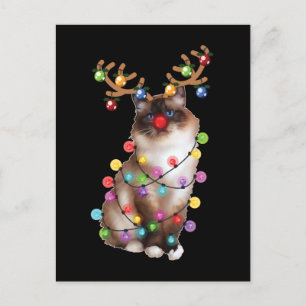 Cute Birman Cat Funny Christmas Holiday Gifts Postcard