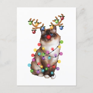 Cute Birman Cat Funny Christmas Holiday Gifts Postcard