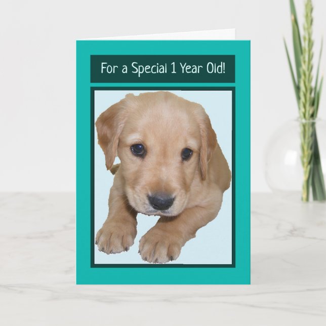 Cute Birthday Card for 1 Year Old Boy (Front)