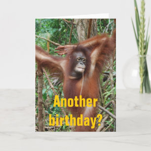 Cute Birthday Humour Card