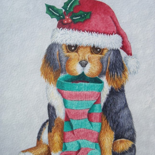 cute black and brown puppy for dog christmas (Creator Uploaded)