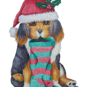 cute black and brown puppy with christmas stocking wrapping paper