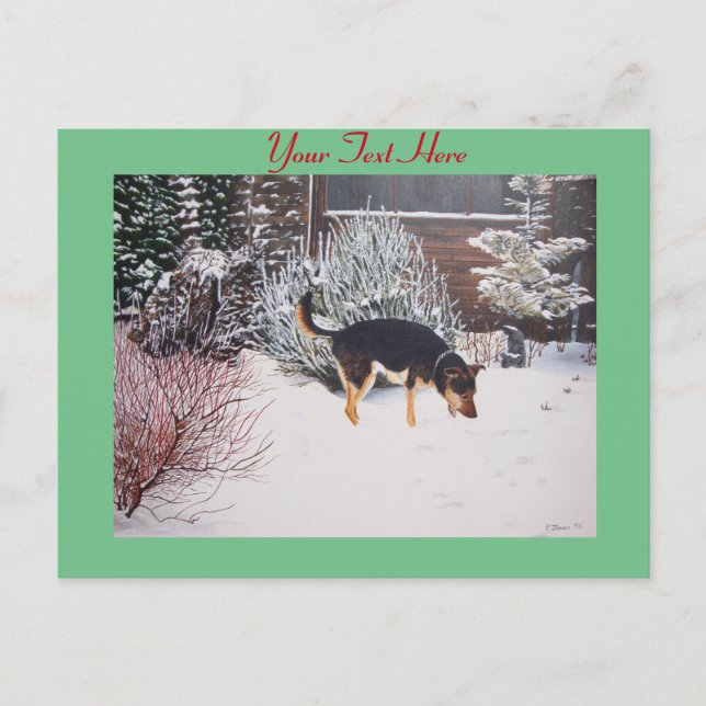 cute black and tan dog winter snow scene postcard (Front)