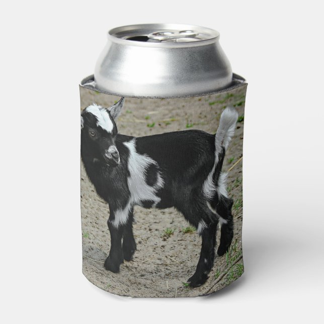 Cute Black and White Baby Goat Photo Can Cooler (Can Front)