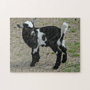 Cute Black and White Baby Goat Photo Jigsaw Puzzle