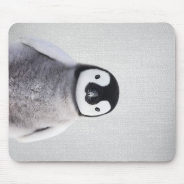 Cute Black And White Baby Penguin Mouse Pad (Front)