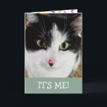 Cute Black And White Cat Birthday Card<br><div class="desc">Wish someone special a Happy Birthday with Victor! He lived in the woods for many years before being tamed and loved by his forever family. Personalise the message and have fun! Photo ©Christine Greenspan</div>