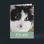 Cute Black And White Cat Birthday Card<br><div class="desc">Wish someone special a Happy Birthday with Victor! He lived in the woods for many years before being tamed and loved by his forever family. Personalise the message and have fun! Photo ©Christine Greenspan</div>