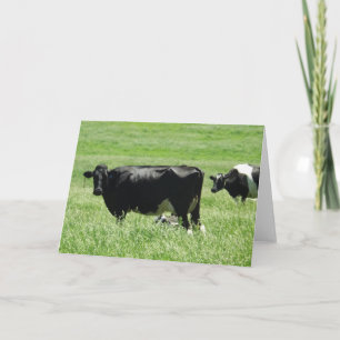 Cute Black and White Cows on Farm Blank Card