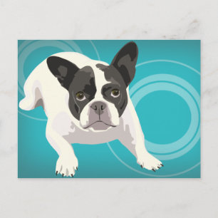 Cute Black and White French Bulldog on Blue Back Postcard