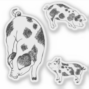 Cute black and white hand drawn pig with cow spots