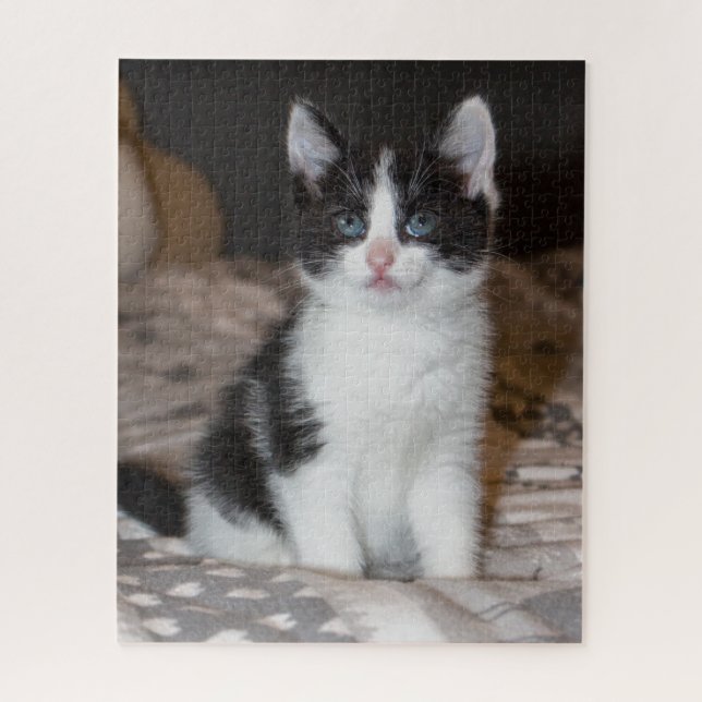 Cute  black and white kitten jigsaw puzzle (Vertical)