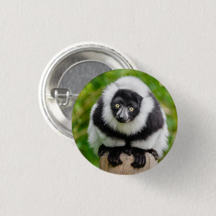 Cute Black and White Lemur 3 Cm Round Badge