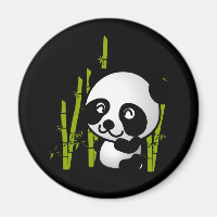 Cute black and white panda bear in a bamboo grove.