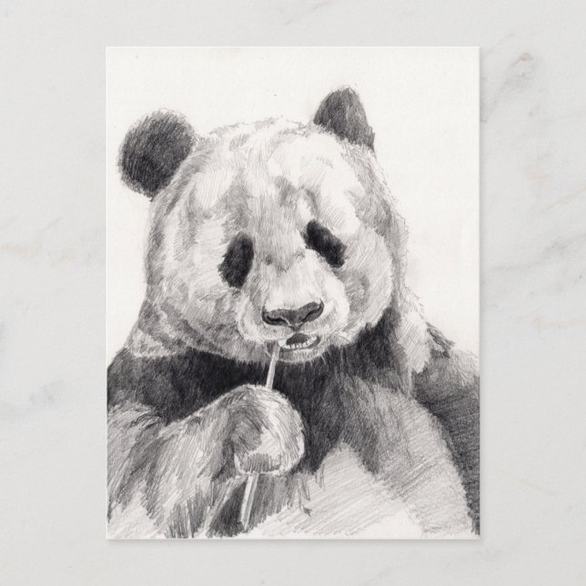 Cute Black and White Panda Illustration Postcard (Front)