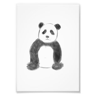 Cute black and white panda sketch photo print
