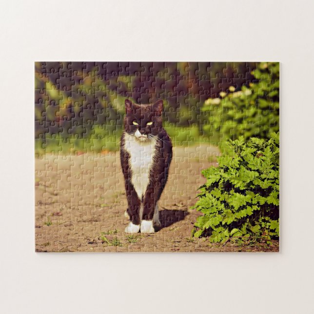 Cute Black and White Tuxedo Cat Photo Jigsaw Puzzle (Horizontal)