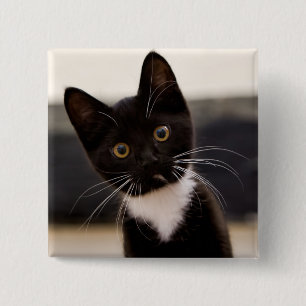 Cute Black And White Tuxedo Kitten 15 Cm Square Badge