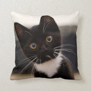 Cute Black And White Tuxedo Kitten Cushion