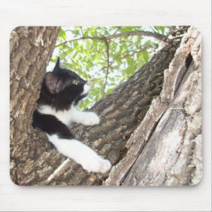 Cute Black and White Tuxedo Kitten Mouse Pad