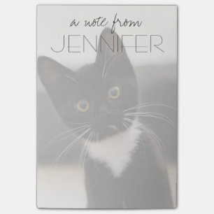 Cute Black And White Tuxedo Kitten Post-it Notes