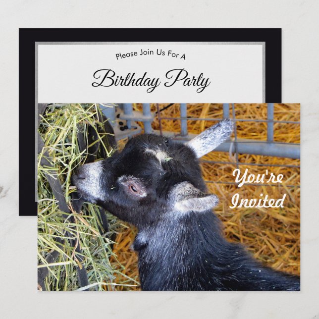 Cute Black Baby Goat Eating Hay Photo Birthday Invitation (Front/Back)