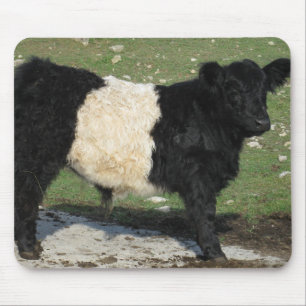 Cute Black Belted Galloway Calf Mouse Pad
