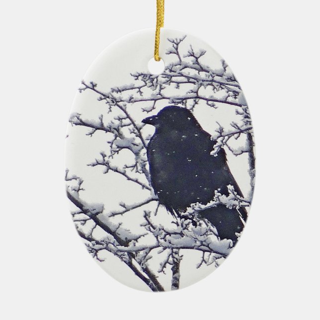 Cute black bird in snowy branches ceramic ornament (Front)