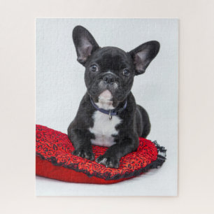 Cute Black BULLDOG Puppy Customisable Jigsaw Puzzle