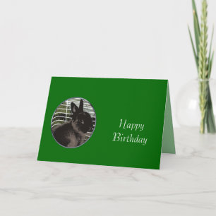 Cute black bunny happy birthday card
