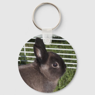 Cute black bunny on green grasses key ring