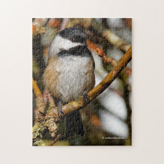 Cute Black-Capped Chickadee in the Tree Jigsaw Puzzle (Vertical)