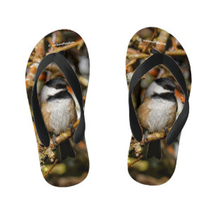 Cute Black-Capped Chickadee in the Tree Kid's Thongs