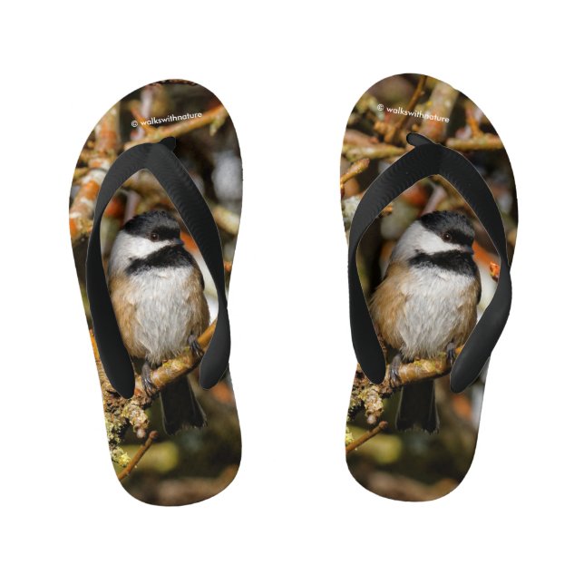 Cute Black-Capped Chickadee in the Tree Kid's Thongs (Footbed)