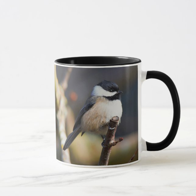 Cute Black-Capped Chickadee on Branch Mug (Right)