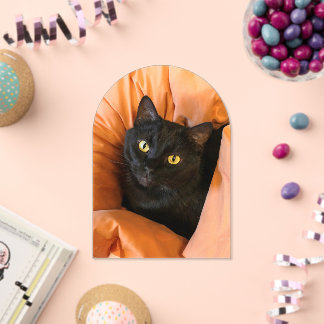 Cute Black Cat Acrylic Invitations