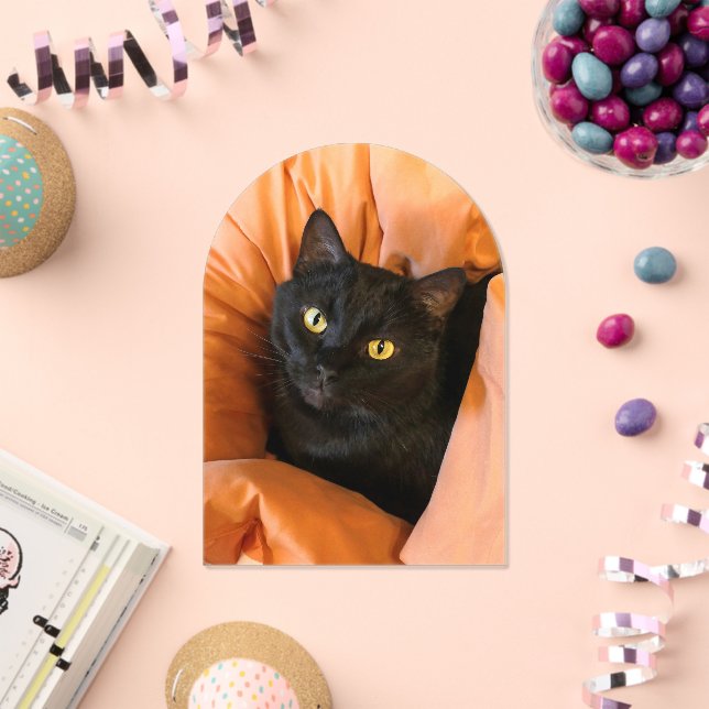 Cute Black Cat Acrylic Invitations (Insitu (Celebration))