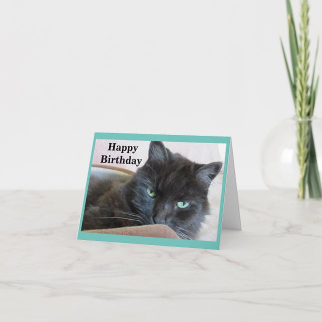 Cute Black Cat Birthday Card (Front)