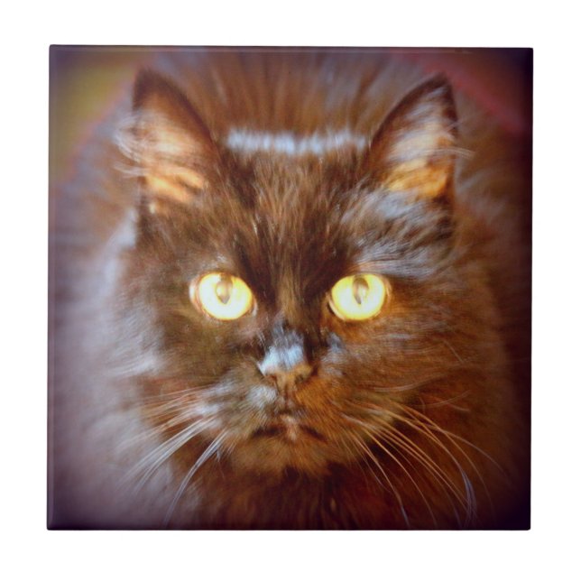 cute black cat ceramic tile (Front)