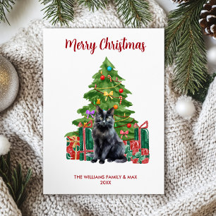 Cute Black Cat Christmas Card