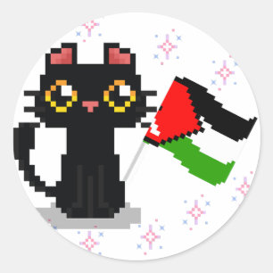 cute black cat holds Palestine flag Classic Round Sticker
