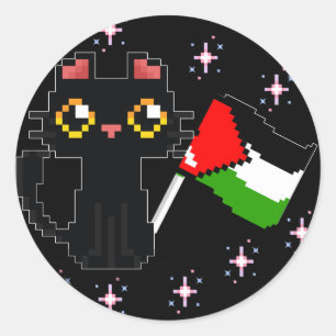cute black cat holds Palestine flag Classic Round Sticker