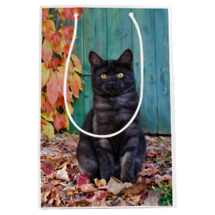 Cute Black Cat Kitten with Red Leaves Blue Door __ Medium Gift Bag