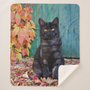 Cute Black Cat Kitten with Red Leaves Blue Door .. Sherpa Blanket