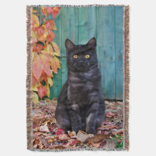 Cute Black Cat Kitten with Red Leaves Blue Door - Throw Blanket