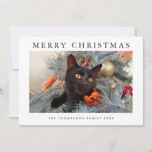 Cute Black Cat Lover Christmas Card