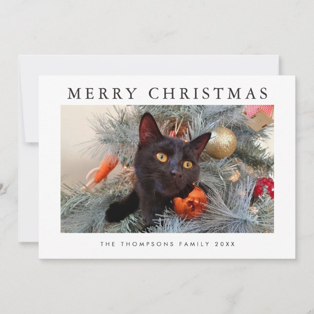 Cute Black Cat Lover Christmas Card (Front)